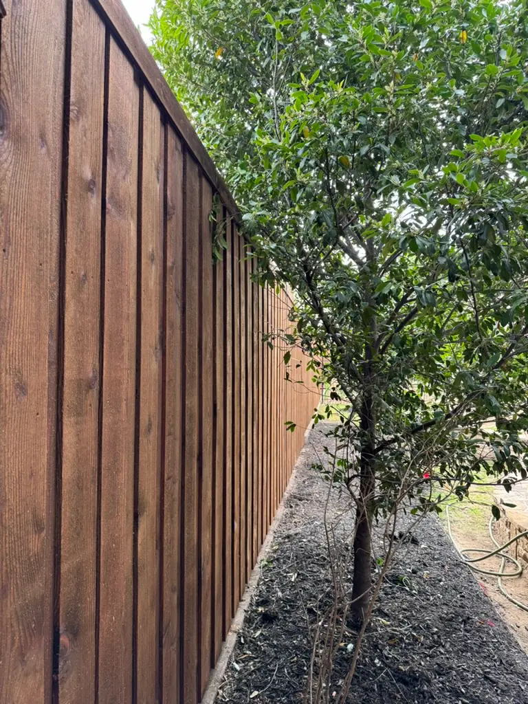 Finished cedar fence installation in Dallas, Texas