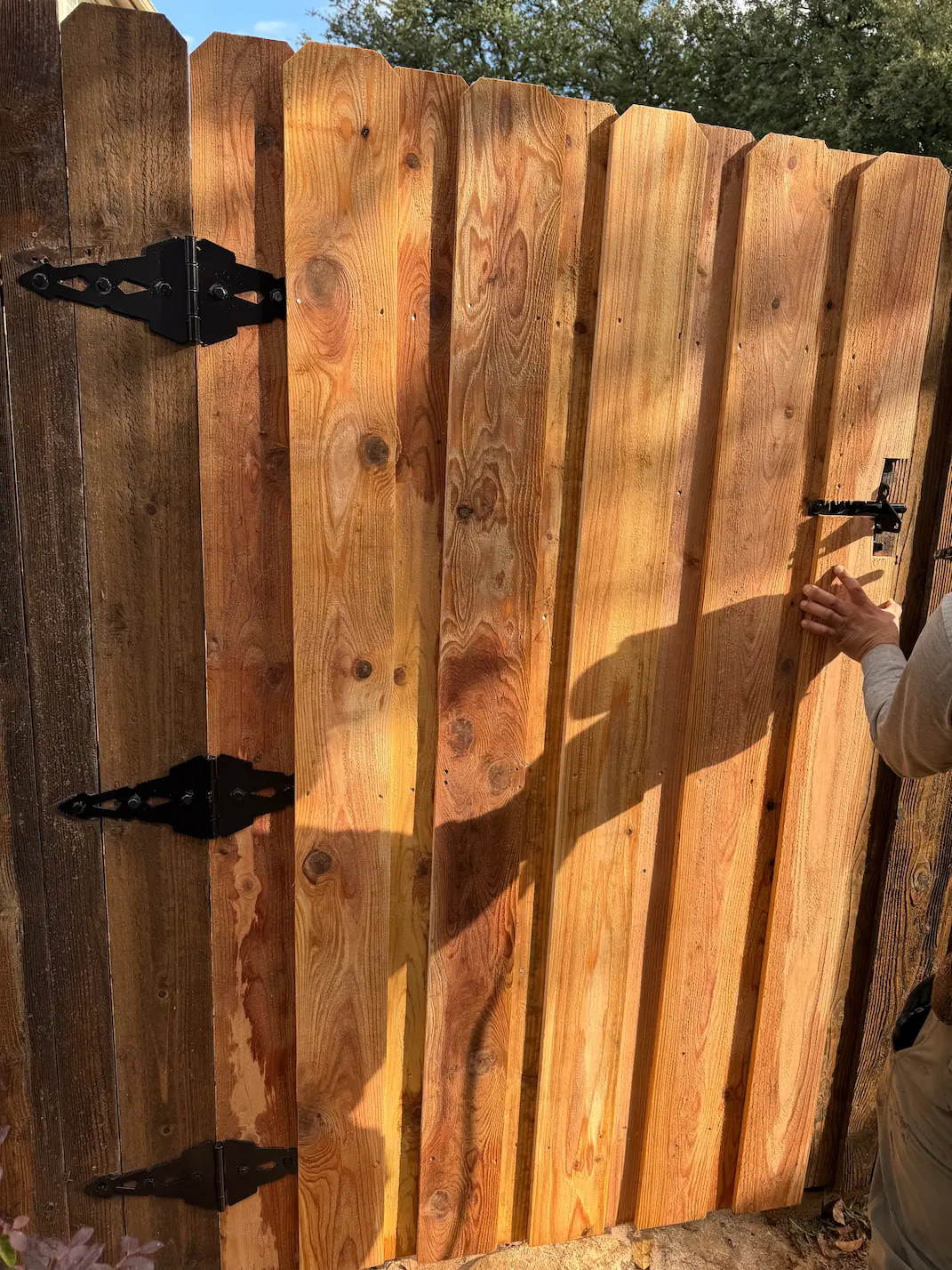 Wood fence and gate repair on a Dallas property
